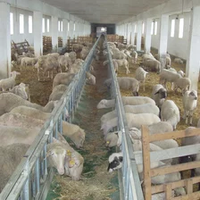 Výstavba ovčína vo Dvore Červený Kame Výstavba ovčína vo Dvore Červený Kame